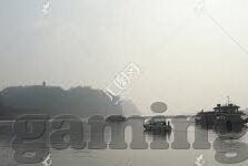 什么软件带森林舞会-探索森林舞会，哪些软件带你走进自然与音乐的奇妙融合
